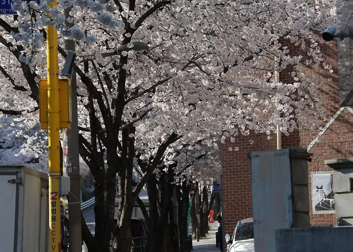 Suu 4 Beds & 2 Bath Group Near Cheonho Station *